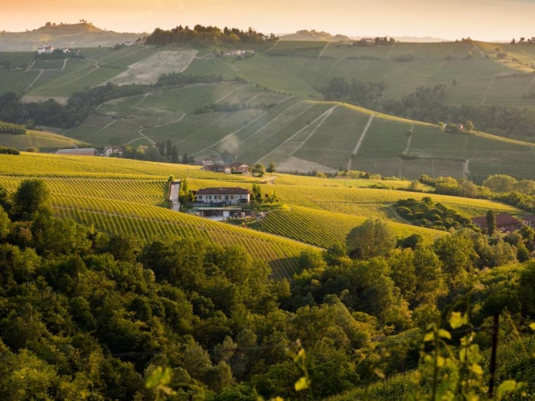 cascina Barac piamonte hotel piedemont wine beste