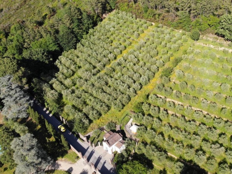 Albergo Villa Marta bestes Boutique-Luxushotel en lucca Toskana