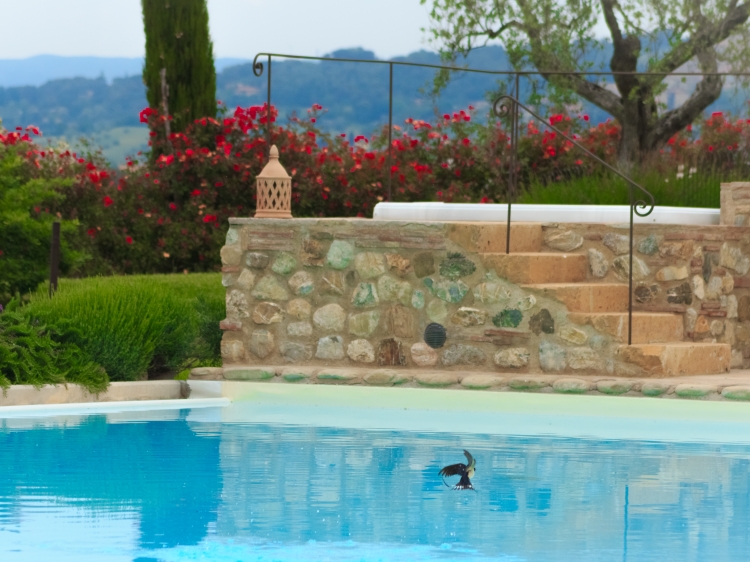 Santa Elena Toskana, das beste kleine Luxushotel in der Toskana