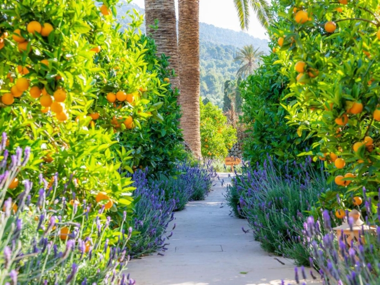 C'as Curial bestes Boutique-Hotel mit Swimmingpool in Soller