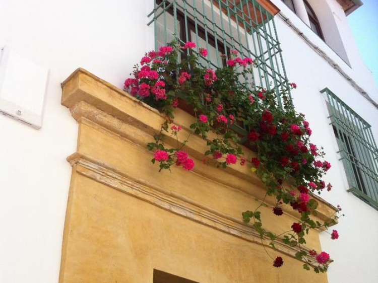 Apartamentos Calleja de la Hoguera Cordoba hotel