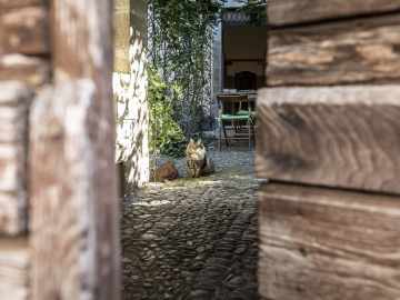 Antica Dimora del Gruccione - Boutique Hotel in Santu Lussurgiu, Sardinien