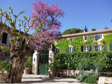 Domaine Saint Hilaire - Ferienhaus oder Villa in Pézenas, Languedoc-Roussillon