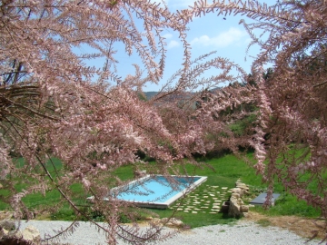 Quinta de Seves - Landhotel in Ferro-Covilhã, Mittlere Küste & Beiras