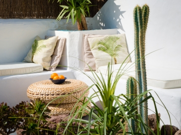 Finca Botanico - Garden Apartment - Ferienwohnung in Guatiza, Kanarische Inseln