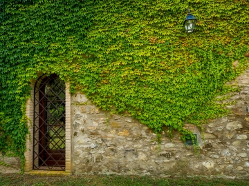 Appartamenti Ginestriccio - Ferienwohnungen in Bibbona, Toskana