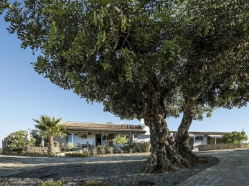 Casa Maya - Ferienhaus oder Villa in São Brás de Alportel, Algarve