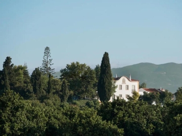 Quinta da Donalda  - Ferienhäuser oder Villen  in Portimão, Algarve