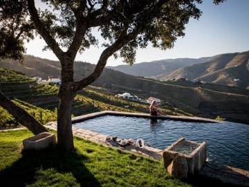 Quinta da Corte - B&B in Valença do Douro, Nord Portugal
