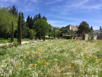 Domaine Les Martins - Landhotel in Gordes, Côte d'Azur & Provence