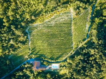 Villa San Lorenzo - Ferienhaus oder Villa in Bonvicino, Piemont