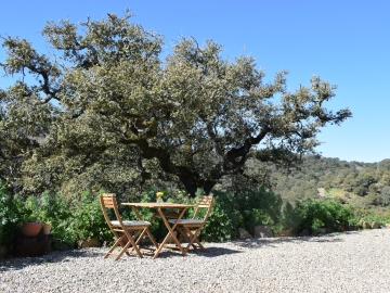 Finca Bravo - Ferienhäuser oder Villen  in Cortegana, Huelva