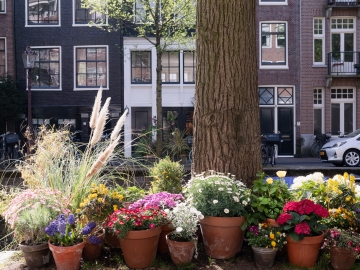 Villa 360 - B&B in Amsterdam, Amsterdam