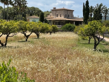 Finca El Nido - Ferienhaus oder Villa in Pollença, Mallorca