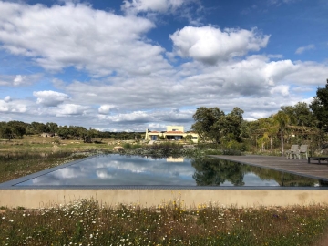 Monte da bela Raposa - B&B oder ganze Villa in Pavia, Alentejo