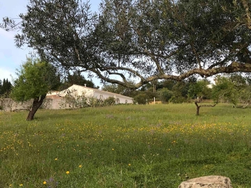O Monte - Ferienhaus oder Villa in São Brás de Alportel, Algarve