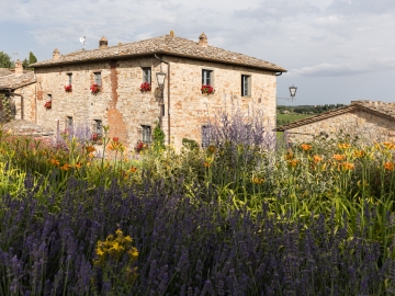 Argenina - B&B & Selbstverpflegung in Gaiole in Chianti, Toskana