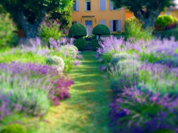 Le Pavillon de Galon - Herrenhaus in Cucuron, Côte d'Azur & Provence