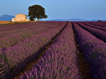 La Maison des Collines - B&B in Allemagne en Provence, Côte d'Azur & Provence