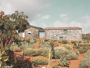 Adegas do Pico - Cottages in S. Roque do Pico, Azoren