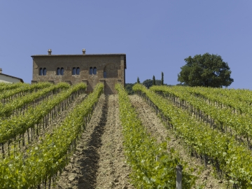 Locanda Palazzone - Boutique Hotel in Orvieto, Umbrien