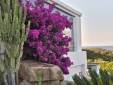 Charming Romantic Bed And Breakfast Tancamelis in Marmorata Santa Teresa di Gallura Sardinia Italy