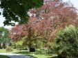 Trewornan Manor Hotel Cornwall