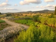 Mas de Torrent boutique hotel Girona costa brava