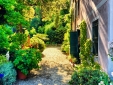 The pergola to La Foresteria