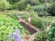 Vegetable gardens t Villa Barca