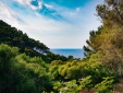 Finca EcoLuxe Playa Valldemossa