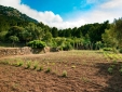 Finca EcoLuxe Playa Valldemossa