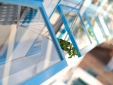 Avanti Hotel Boutique Fuerteventura design