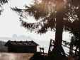 Freiform Gasthaus Ferienwohnung Natur Südtirol Alpen Traumhaus