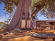 Picnic
