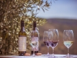 Wine tasting
