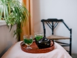 Garden fresh mint tea