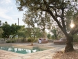 Private pool overlooking the vineyards