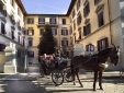 Residenza Johanna Charmantes Bed and Breakfast Florenz Italien