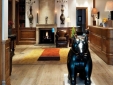 CHARLOTTE STREET HOTEL