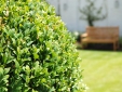 Lime Tree Hotel London England Garden