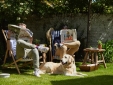Lime Tree Hotel best city boutique hotel in london