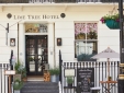 Lime Tree Hotel best city boutique hotel in london