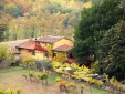B&B Le Due Volpi Agirturismo Hotel Toskana gemütlich