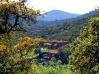 Molino Rio Alajar