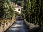 Dievole Wine Resort
