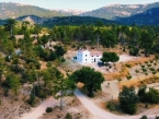 Cortijo la Paloma