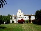 Cortijo Torre de la Reina