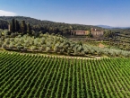 Villa Torre a Cona