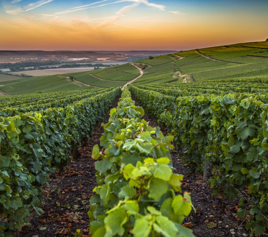 Weinhotels und die besten Regionen für Eno-Tourismus - Weintourismus Deutschland